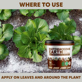 Diatomaceous Earth (Animal Feed Grade) – Natural Pest Control & Animal Feed Supplement – product image 9