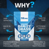 Organic Barley Grass Powder – product image 8